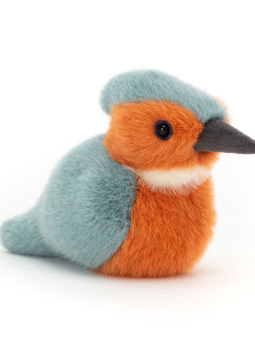 博德林翠鸟蓝红色