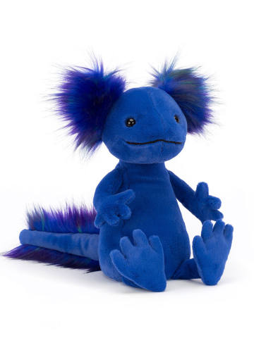 安迪美西钝口螈-Medium