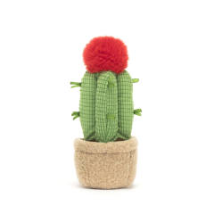 Amuseables Moon Cactus-资料图