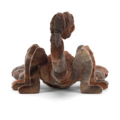 西蒙蝎子-资料图