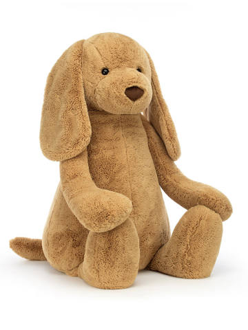 害羞太妃糖狗狗-Giant