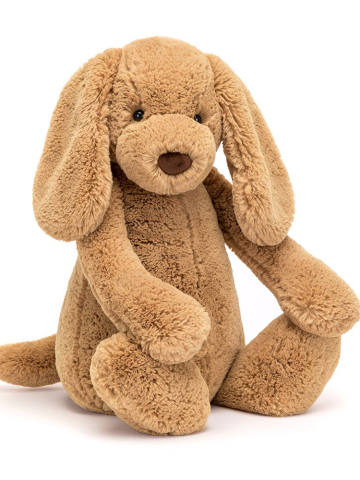 害羞太妃糖狗狗-Huge