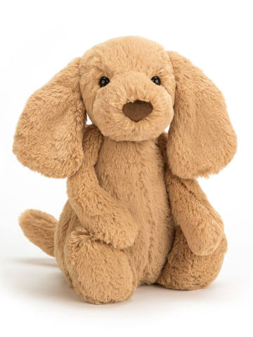 Bashful Toffee Puppy-Medium