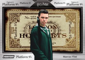 马库斯·弗林特