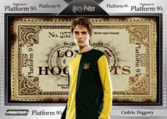 赛德里克·迪戈里