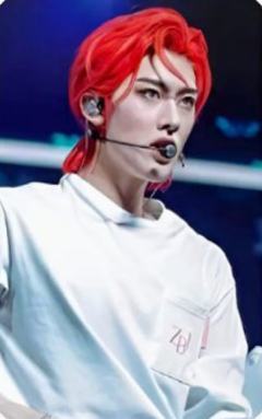 24日本fc dvd通常盘4 ver.A