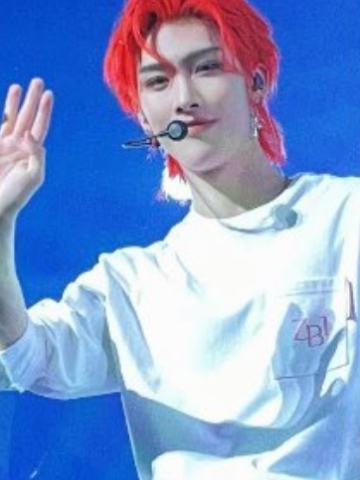 24日本fc dvd限定盘4