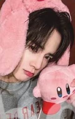 hl熏 星之卡比ver.