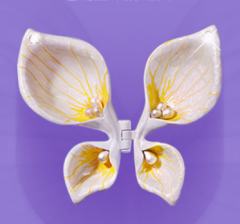 拥抱寰宇-资料图