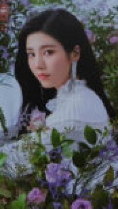 电子专专卡7 ver.B