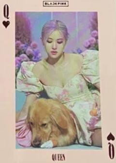 正规一扑克卡 肉 ver.C