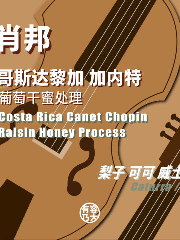 哥斯达黎加肖邦H1葡萄干蜜处理