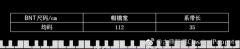 夜曲 BNT-资料图