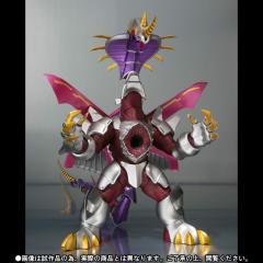 SHF 假面骑士龙骑-资料图