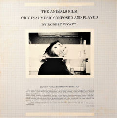The Animals Film