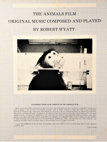 The Animals Film