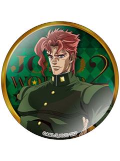 花京院典明-JOJO WORLD2吧唧