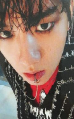 专卡贤 monster ver.