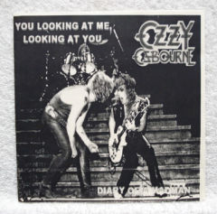 You Looking At Me, Looking At You / Diary Of A Madman