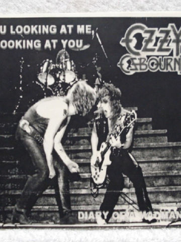 You Looking At Me, Looking At You / Diary Of A Madman