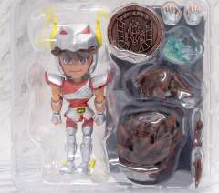 ES Alloy 天马座 星矢-资料图