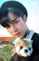 2022 D社卡册 verA.