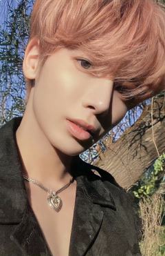 Daydream版专卡4 ver.A