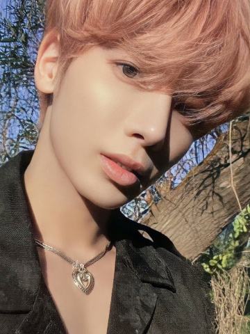 Daydream版专卡4 ver.A