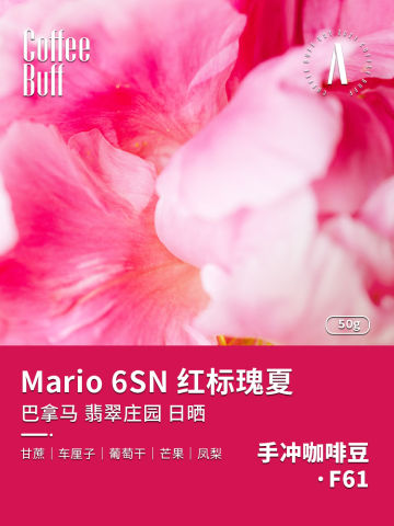 Mario红标瑰夏手冲咖啡豆