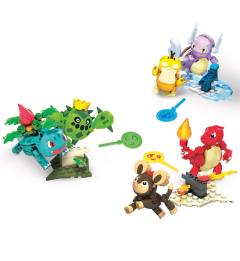 Mega Construx 刺球仙人掌 Trainer Team Challenge-资料图