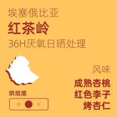 埃塞俄比亚红茶岭 36小时发酵预处理