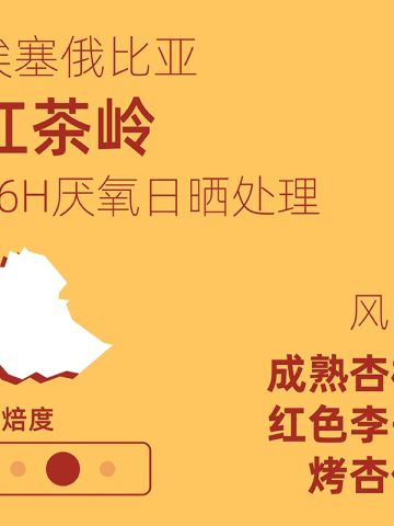 埃塞俄比亚红茶岭 36小时发酵预处理