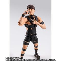 SHF T.M.Revolution-资料图