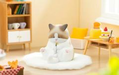 盯裆猫3代系列-资料图