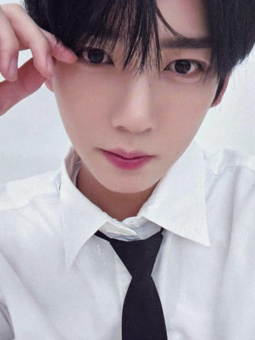 el乐天d9 领带ver.