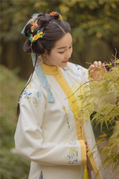绣花直袖-资料图
