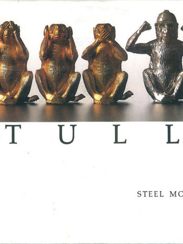 Steel Monkey