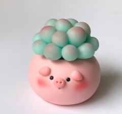 大眼多肉猪-资料图