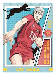 映像定格卡9-集卡社垃圾场决战收藏卡