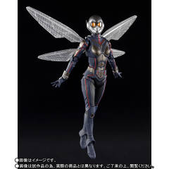 SHF 黄蜂女-资料图