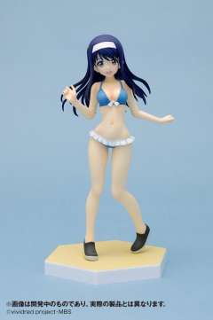 Beach Queens 二叶葵-资料图