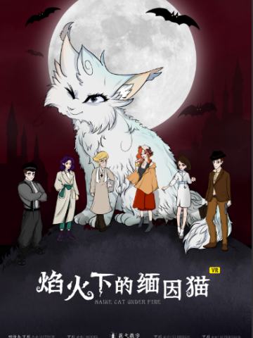 焰火下的缅因猫