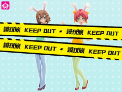 EX Figure 木下秀吉 Bunny ver.-资料图