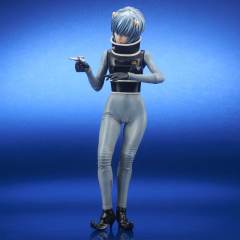 Toho 30cm Series 绫波丽 X Seijin ver.-资料图