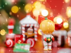 Mini圣诞小花-资料图