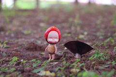 【红蘑菇森林】小红菇站姿小fengfeng-资料图