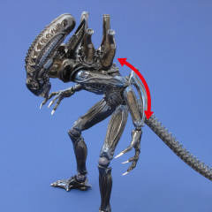 Revoltech Revoltech SFX 战斗异形-资料图