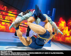 SHF 复仇女神-资料图