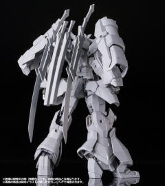 Frame Arms NSG-Z0/D 祸月-资料图