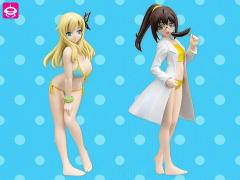 High Grade Figure 柏崎星奈 -资料图